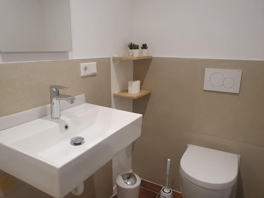 Apartment-Top Lage Koeln Hürth Kültér fotó